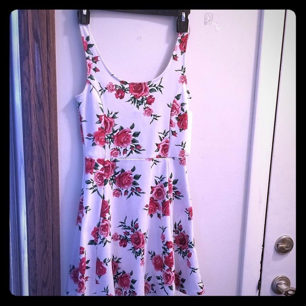 Rose print skater style dress